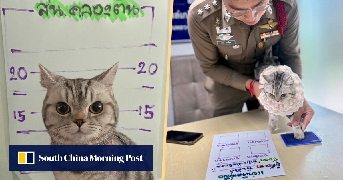 https://cdn.i-scmp.com/sites/default/files/styles/og_image_scmp_generic/public/d8/images/canvas/2025/05/22/d83dfd40-14ed-4119-84e7-9da410313e94_70343293.jpg?itok=qvssC_Y9&v=1747910336