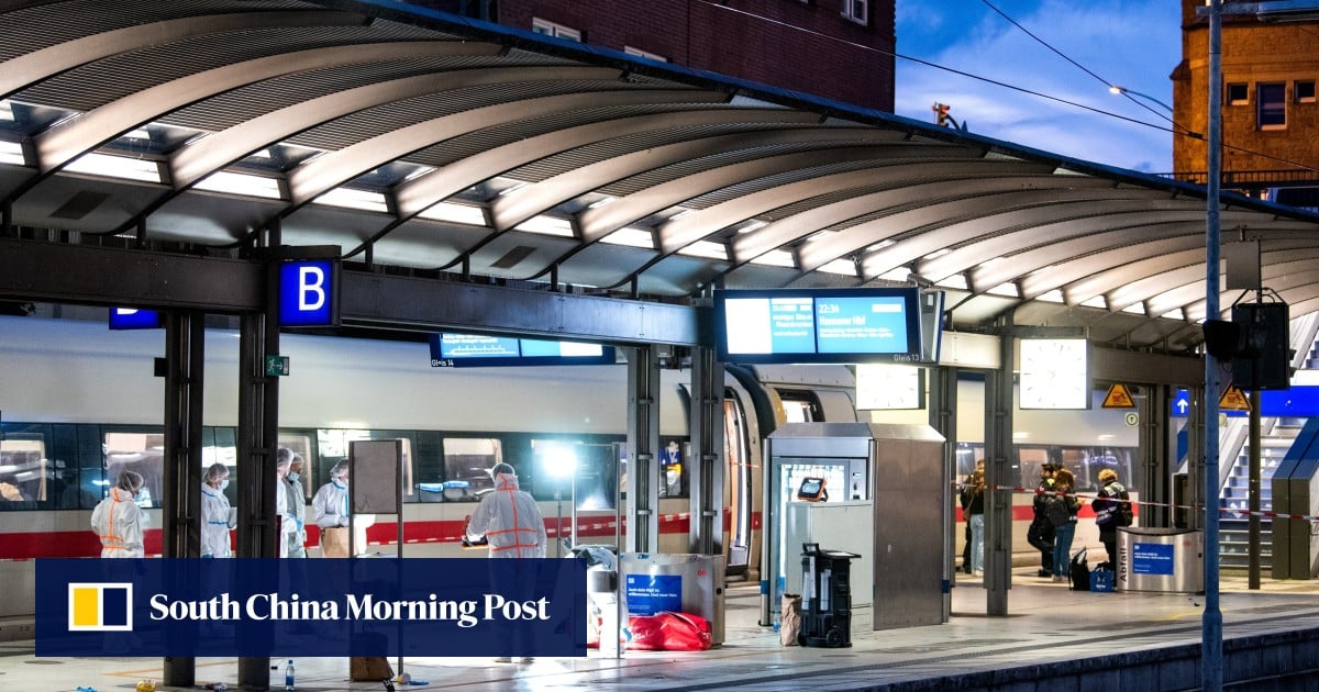 18 injured in Hamburg station knife attack, German woman detained