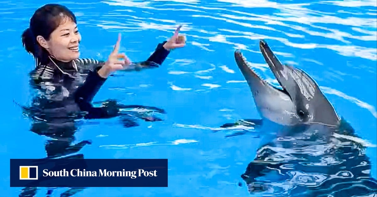Rita, Indo-Pacific bottlenose dolphin at Hong Kong’s Ocean Park, dies at 24