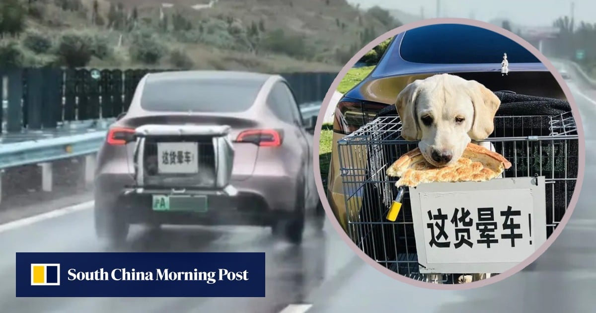 https://cdn.i-scmp.com/sites/default/files/styles/og_image_scmp_generic/public/d8/images/canvas/2025/05/27/5a2dc850-e2fb-476c-927c-8a0531445978_8282adbf.jpg?itok=Z_wJVBrR&v=1748329581