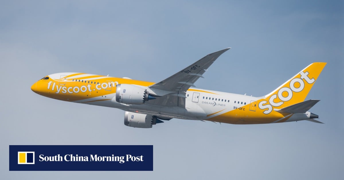 Singapore jails Chinese man for stealing from fellow passenger on Scoot flight