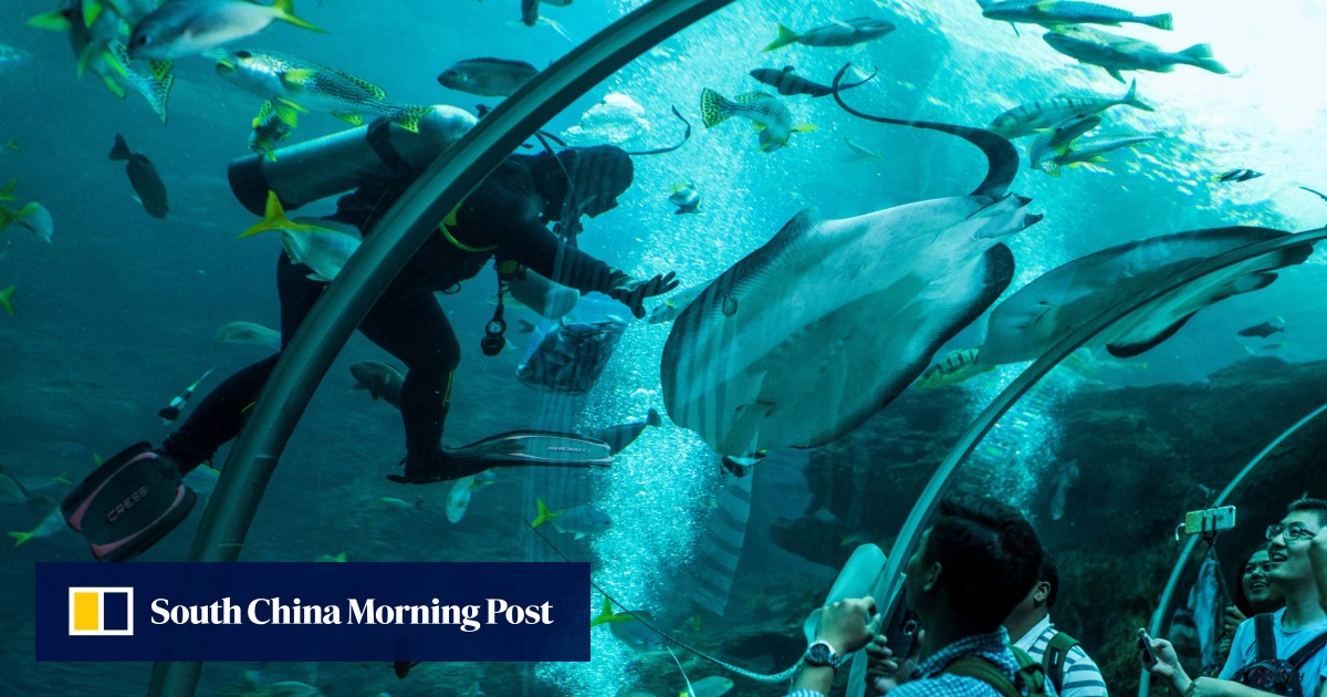 https://cdn.i-scmp.com/sites/default/files/styles/og_image_scmp_generic/public/d8/images/canvas/2025/05/28/916d30ab-d15b-4c47-a170-d460fc2cbc39_fd0b8d53.jpg?itok=6StUWCNx&v=1748401954