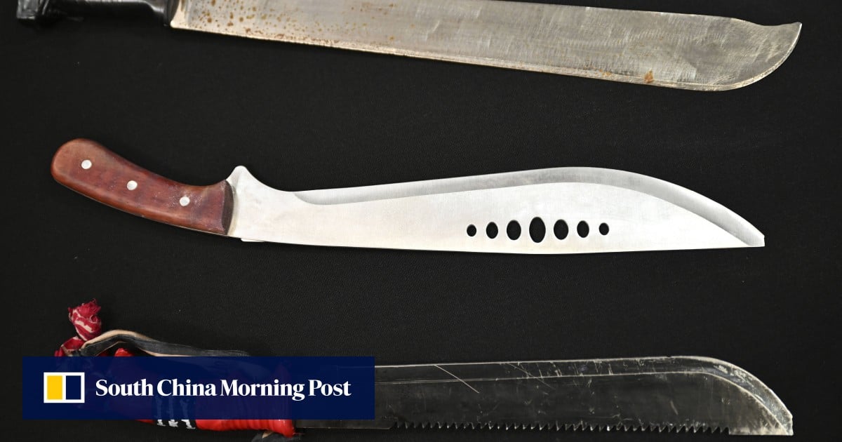 A machete-wielding mob ran riot in Australia. Days later the knives were banned