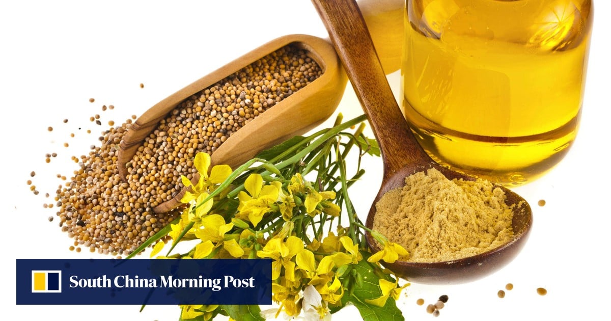 https://cdn.i-scmp.com/sites/default/files/styles/og_image_scmp_generic/public/d8/images/canvas/2025/05/29/76bff21a-e728-4ad3-8f3e-b5becb0fc00d_df5c578d.jpg?itok=CuE_JQkp&v=1748490077