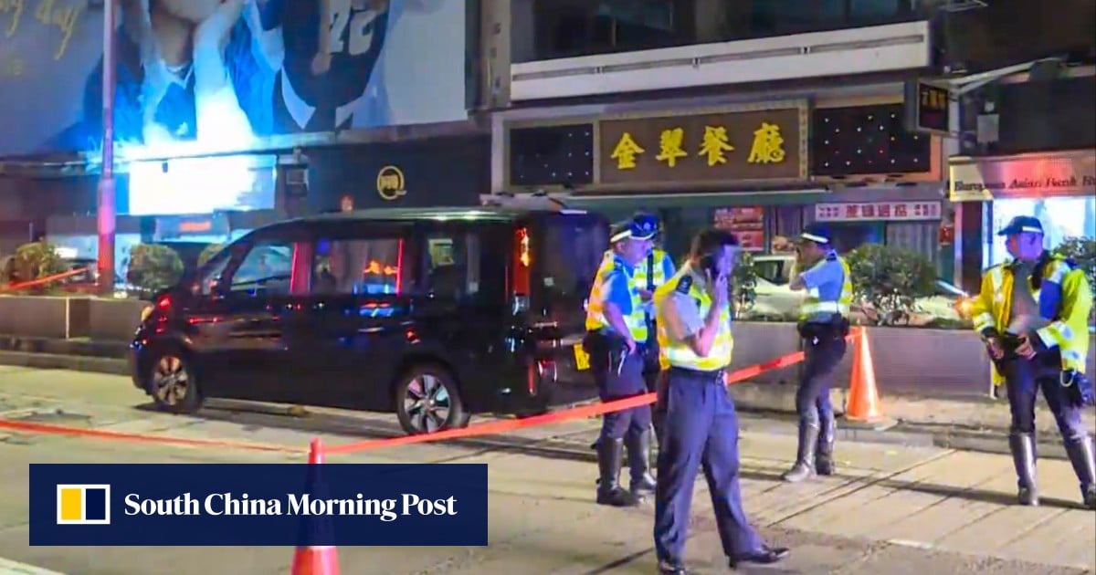 Pedestrian, 60, dies after being hit by Hong Kong policeman’s private car