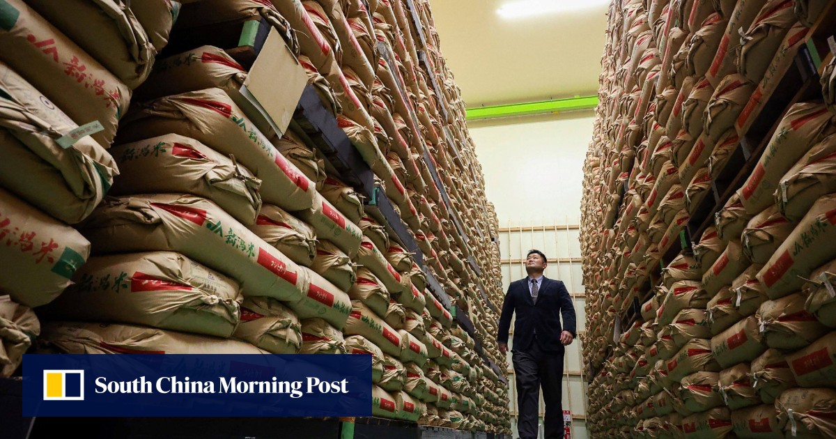 Japan lawmaker takes flak for calling rice stockpiles ‘animal feed’