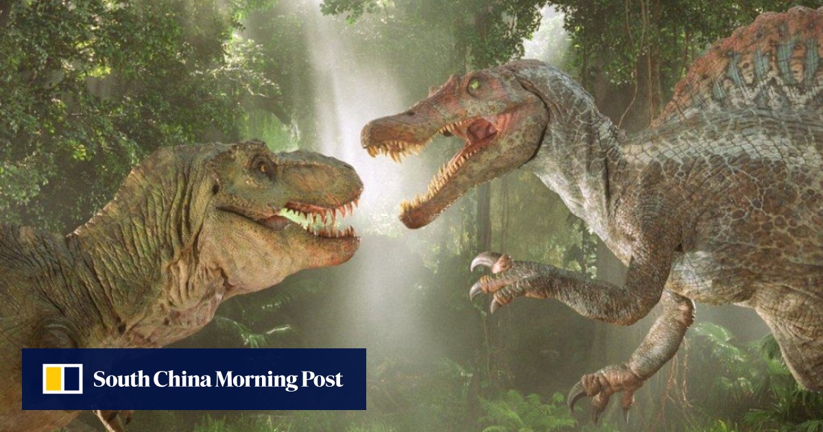 https://cdn.i-scmp.com/sites/default/files/styles/og_image_scmp_generic/public/d8/images/canvas/2025/05/30/03bbf3d5-64f1-45f7-a81c-1d8bd05ea4d4_2ebaab70.jpg?itok=mYpNVSxh&v=1748583405