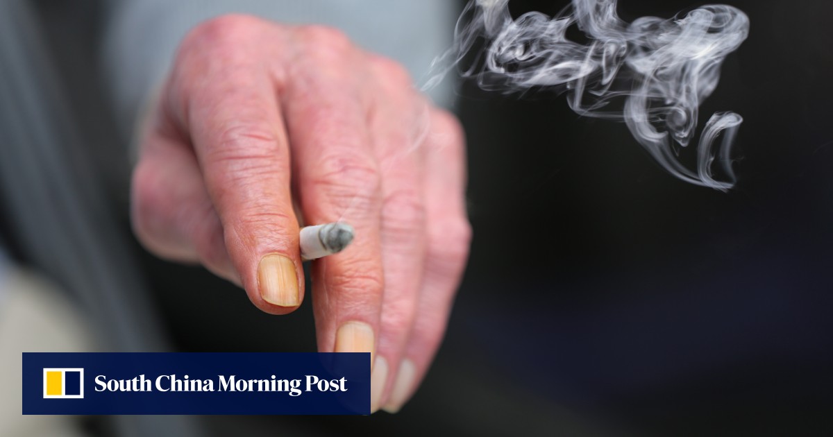 cigarette different types US regulators renew scrutiny of menthol, tobacco flavors