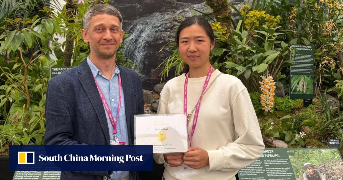 Hong Kong display strikes gold at Chelsea Flower Show with rare orchids