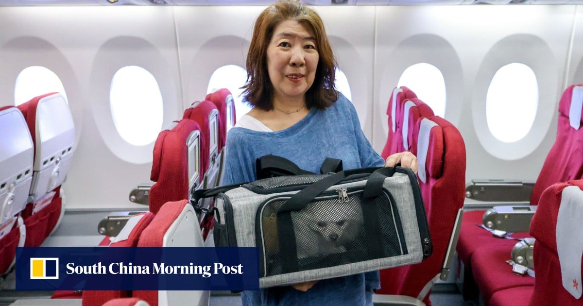 https://cdn.i-scmp.com/sites/default/files/styles/og_image_scmp_generic/public/d8/images/canvas/2025/06/01/bb174875-8fff-41c3-80e2-01ab9ecd622c_687ab115.jpg?itok=B174lqvL&v=1748751821