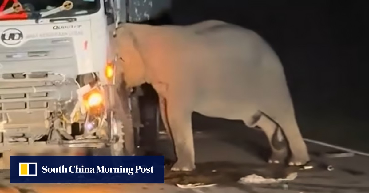 https://cdn.i-scmp.com/sites/default/files/styles/og_image_scmp_generic/public/d8/images/canvas/2025/06/03/0798d907-d03b-4a66-8cad-a1fb731b14d9_c3c922fa.jpg?itok=lACAKMnM&v=1748933097