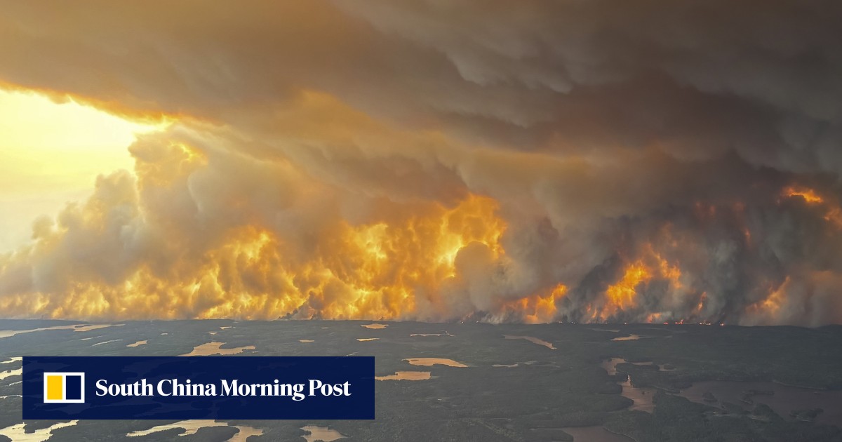 https://cdn.i-scmp.com/sites/default/files/styles/og_image_scmp_generic/public/d8/images/canvas/2025/06/03/7fe2082a-c238-40e2-a9a0-47831ffb45e9_68ae1ef1.jpg?itok=AdAg_f_2&v=1748960739