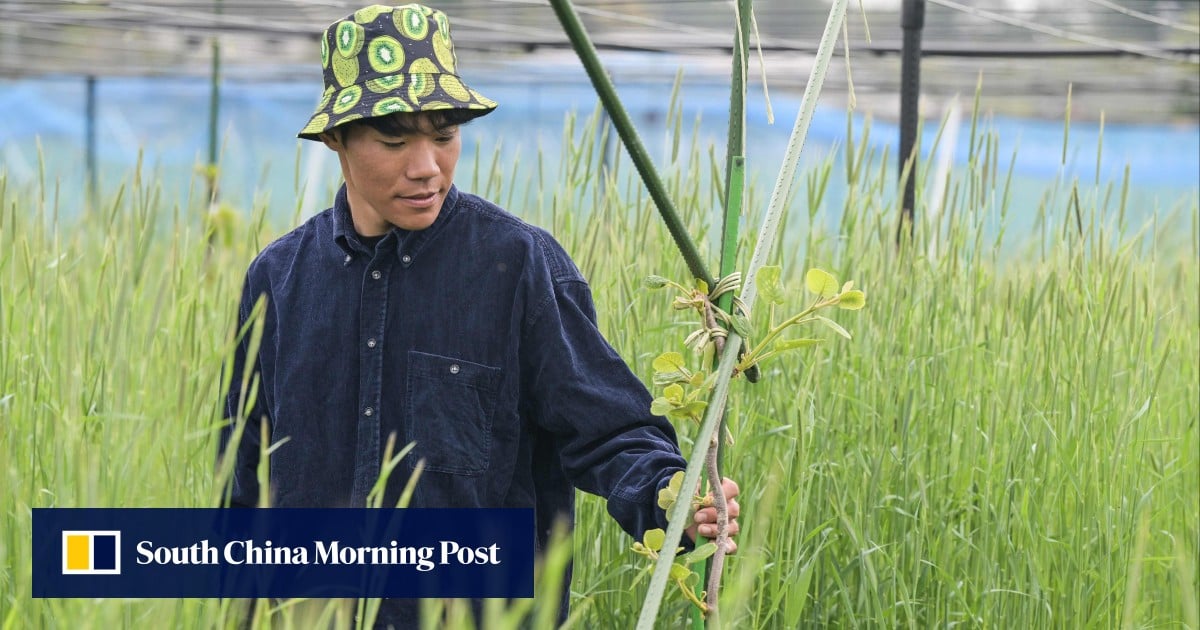 https://cdn.i-scmp.com/sites/default/files/styles/og_image_scmp_generic/public/d8/images/canvas/2025/06/05/0954997f-b2ee-426e-88dd-9bd8b2a722f8_229f0399.jpg?itok=KoTgjpW0&v=1749114547