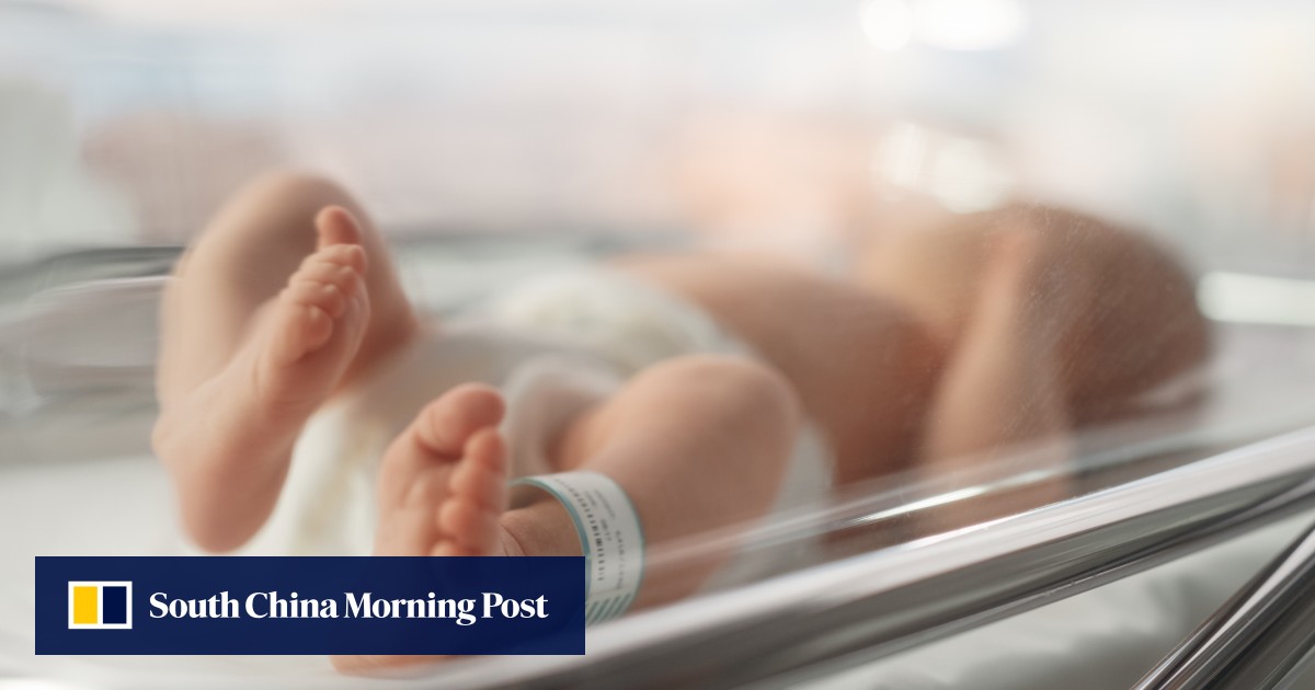 https://cdn.i-scmp.com/sites/default/files/styles/og_image_scmp_generic/public/d8/images/canvas/2025/06/05/80b5e58f-60d4-4de9-84ea-4e5f167379e9_8a8a9977.jpg?itok=O2cBYnfN&v=1749115376