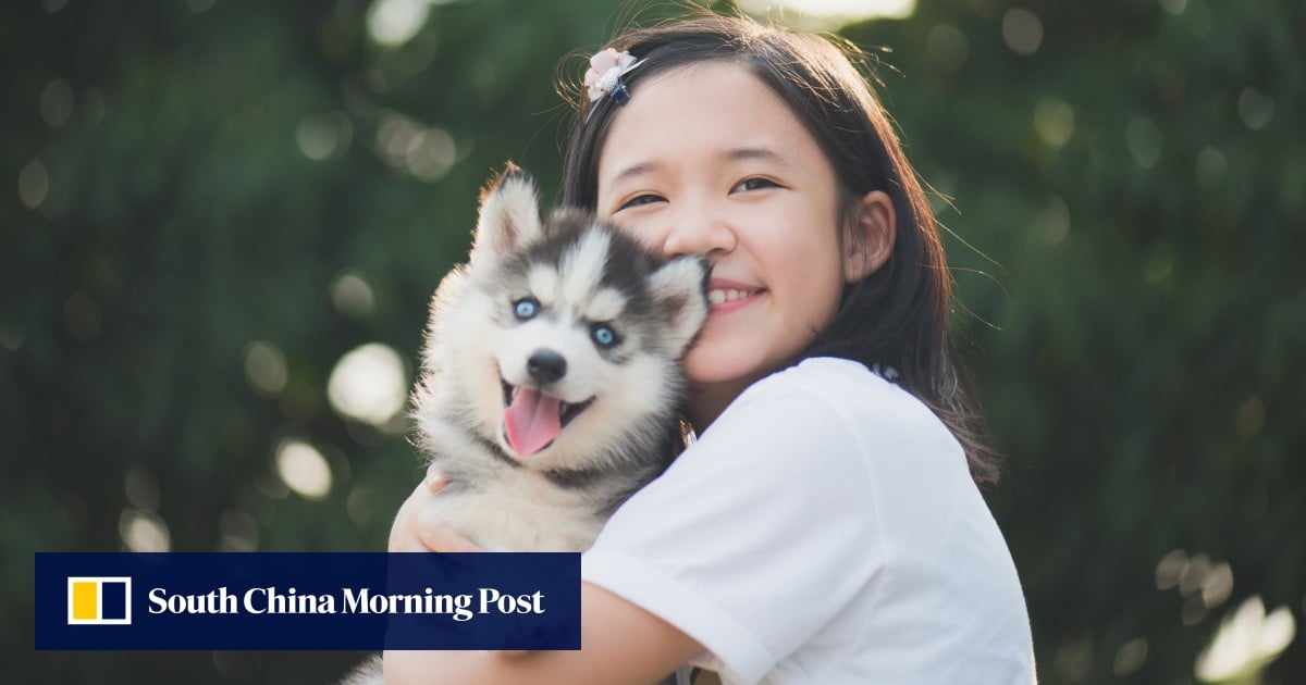 https://cdn.i-scmp.com/sites/default/files/styles/og_image_scmp_generic/public/d8/images/canvas/2025/06/05/e8ee3204-ea8f-45ff-9acb-e585b16c7c40_06175ba1.jpg?itok=ellRELgw&v=1749109962