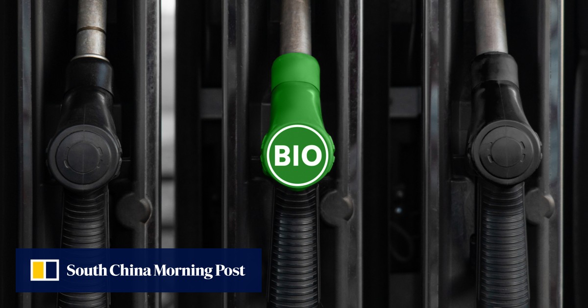 EU biodiesel tariffs offer Hong Kong a chance to boost adoption of green fuel