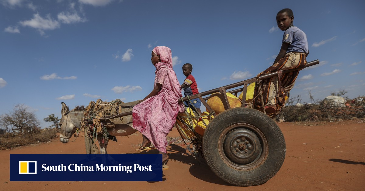 Africa warns Trump travel ban could dampen relations