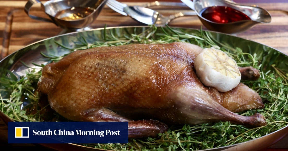 https://cdn.i-scmp.com/sites/default/files/styles/og_image_scmp_generic/public/d8/images/canvas/2025/06/06/9be17bea-1610-4769-b330-dc1a19335547_0112bec9.jpg?itok=eDpbsCYS&v=1749186069
