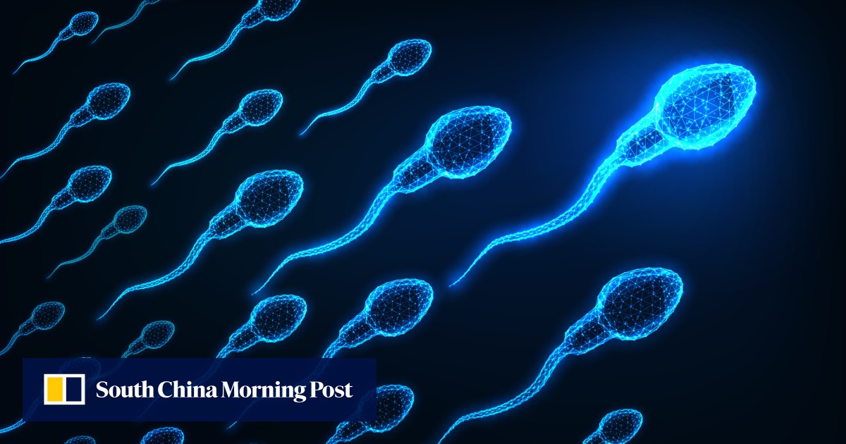 https://cdn.i-scmp.com/sites/default/files/styles/og_image_scmp_generic/public/d8/images/canvas/2025/06/06/bf0b1325-54e2-40bc-b7aa-32d1282b1540_1a4eb16a.jpg?itok=Wm2_zkfE&v=1749180498