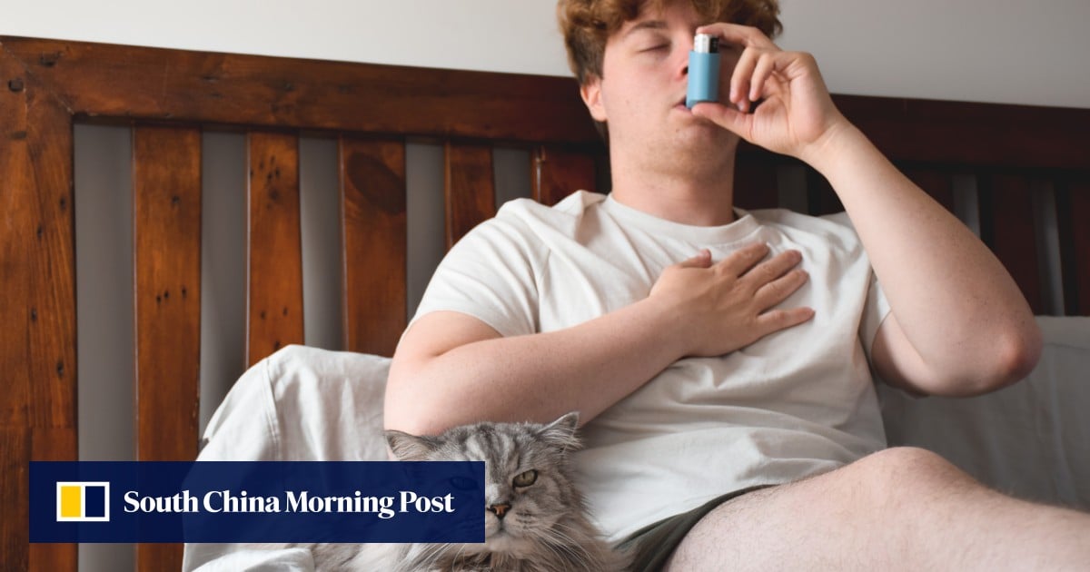 https://cdn.i-scmp.com/sites/default/files/styles/og_image_scmp_generic/public/d8/images/canvas/2025/06/09/313fac8c-e0e6-4104-955a-709e7b2da07c_4beb6902.jpg?itok=KvqzPw9o&v=1749436257