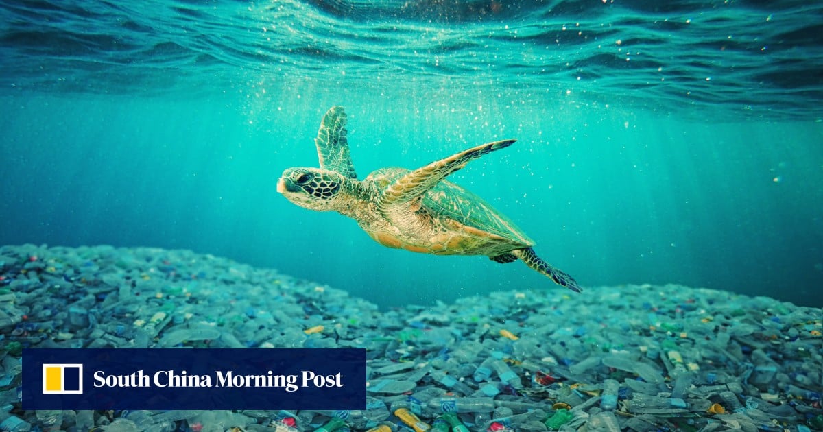 Ocean Generaic UN Ocean Conference opens in France, aiming to protect our seas | South ...