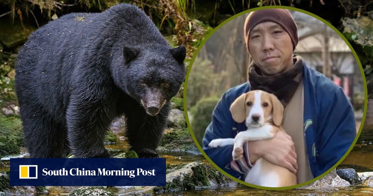 https://cdn.i-scmp.com/sites/default/files/styles/og_image_scmp_generic/public/d8/images/canvas/2025/06/10/ab61a01f-b387-4589-8765-65345030247e_51872995.jpg?itok=_Y2WzhzV&v=1749532150