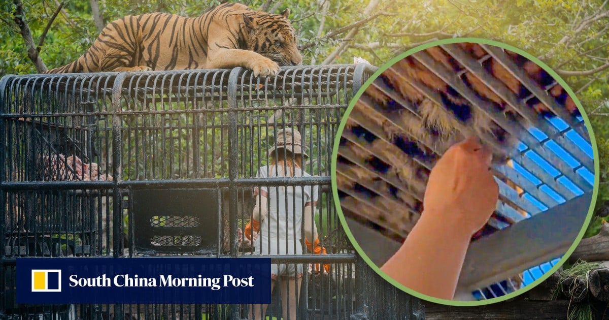 https://cdn.i-scmp.com/sites/default/files/styles/og_image_scmp_generic/public/d8/images/canvas/2025/06/10/c4943403-0a57-41bf-a142-414398eec922_02404dfe.jpg?itok=BgGZkmwe&v=1749545529