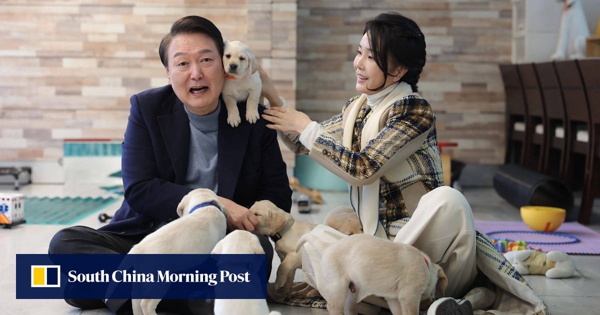 https://cdn.i-scmp.com/sites/default/files/styles/og_image_scmp_generic/public/d8/images/canvas/2025/06/10/de90488b-5c3c-493d-aa9f-bb9d7170e571_4618b7c1.jpg?itok=6K-l4g7r&v=1749537345