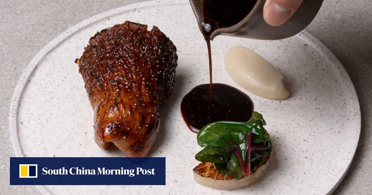 https://cdn.i-scmp.com/sites/default/files/styles/og_image_scmp_generic/public/d8/images/canvas/2025/06/11/65d2fd68-5be9-41fc-9ce8-77819669d719_93ddcf8c.jpg?itok=oq8aSBNt&v=1749634124