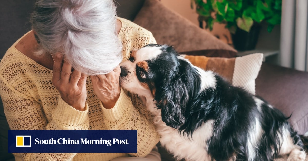 https://cdn.i-scmp.com/sites/default/files/styles/og_image_scmp_generic/public/d8/images/canvas/2025/06/11/6ab4f510-0159-4b1e-ab6d-73c3991721a7_8ae66942.jpg?itok=IbWGag7i&v=1749628538