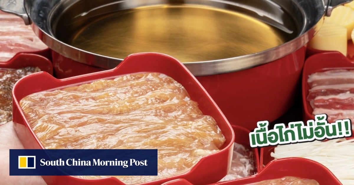 https://cdn.i-scmp.com/sites/default/files/styles/og_image_scmp_generic/public/d8/images/canvas/2025/06/11/98445190-6680-4e1e-89af-e1f97d8e6e41_5cf3d9af.jpg?itok=TJlD1X-s&v=1749622866