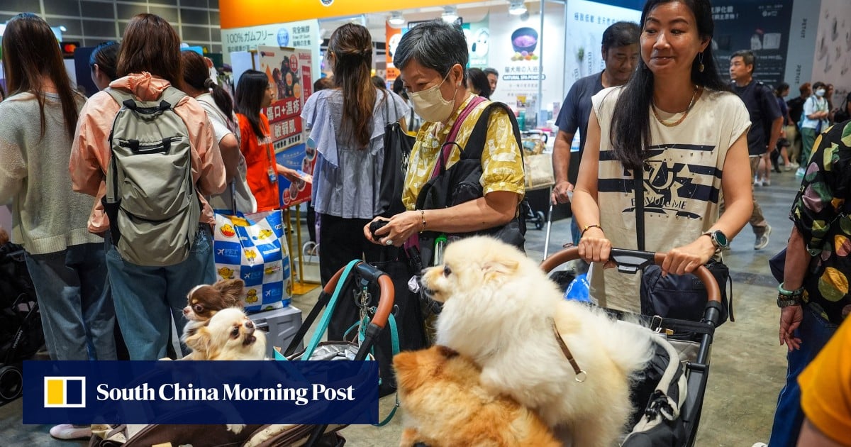 https://cdn.i-scmp.com/sites/default/files/styles/og_image_scmp_generic/public/d8/images/canvas/2025/06/11/d839bbd8-bfbd-4d1a-90c5-bf90d0723c09_30e249a2.jpg?itok=LX__s8c2&v=1749632861