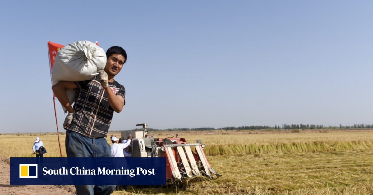 https://cdn.i-scmp.com/sites/default/files/styles/og_image_scmp_generic/public/d8/images/canvas/2025/06/13/86733a65-4ff4-4f3b-97f5-921ea49aee89_b40583f5.jpg?itok=5qWXjZjy&v=1749807841