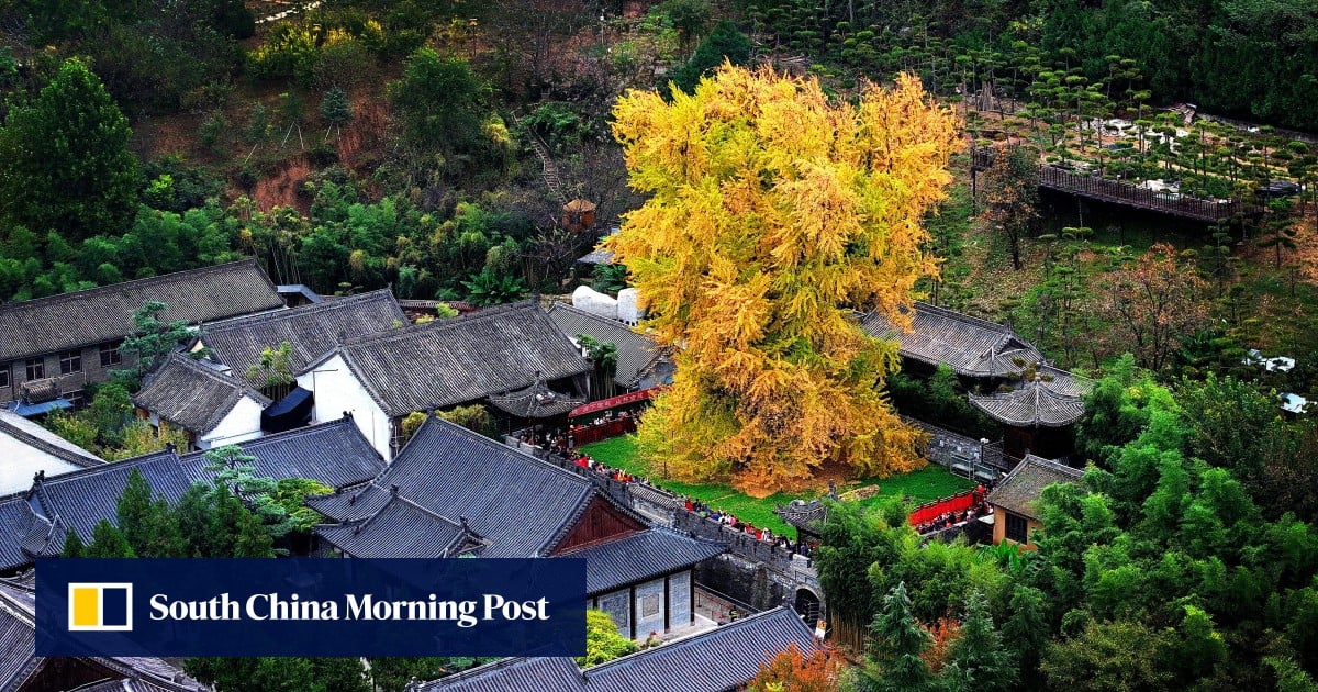 https://cdn.i-scmp.com/sites/default/files/styles/og_image_scmp_generic/public/d8/images/canvas/2025/06/14/96ee12ca-8581-4d51-ace0-5b6f3c0e3395_8016a093.jpg?itok=i0Gw3ig0&v=1749902242