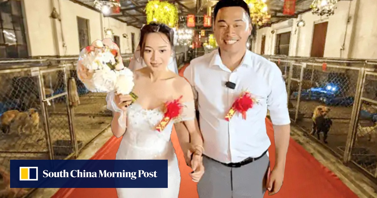 https://cdn.i-scmp.com/sites/default/files/styles/og_image_scmp_generic/public/d8/images/canvas/2025/06/16/f4b9438e-a4f2-47f9-9552-04f14b501a55_7f503d08.jpg?itok=PngGGjwA&v=1750083878