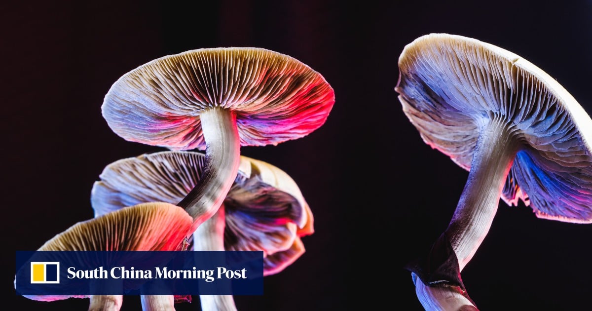 https://cdn.i-scmp.com/sites/default/files/styles/og_image_scmp_generic/public/d8/images/canvas/2025/06/18/0bfd2fbb-ceb3-43e6-9be4-cca27a8d72a0_74febc95.jpg?itok=YL-ZhsyC&v=1750219171