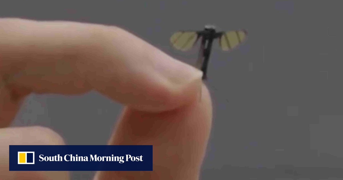 https://cdn.i-scmp.com/sites/default/files/styles/og_image_scmp_generic/public/d8/images/canvas/2025/06/20/33c8eb4d-94d4-4fc4-be91-f508a9b955f1_5a3415c1.jpg?itok=xnaL0XFa&v=1750405200