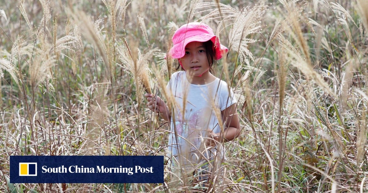 https://cdn.i-scmp.com/sites/default/files/styles/og_image_scmp_generic/public/d8/images/canvas/2025/06/20/b030e4e6-6229-4baf-9b77-1f3109e777a7_e206a8d6.jpg?itok=dM2CZQLP&v=1750414012