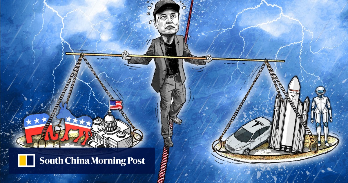 How much of a future does Elon Musk really have in US politics?