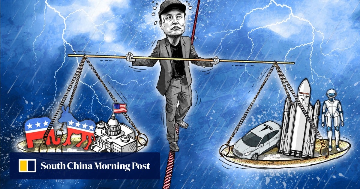 How much of a future does Elon Musk really have in US politics?