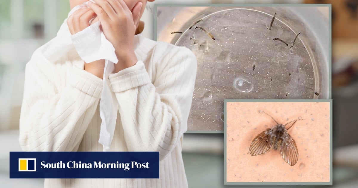 https://cdn.i-scmp.com/sites/default/files/styles/og_image_scmp_generic/public/d8/images/canvas/2025/06/24/5ecba474-02c2-427e-947a-d03270abe3cc_45448946.jpg?itok=zG4ldxiu&v=1750762171
