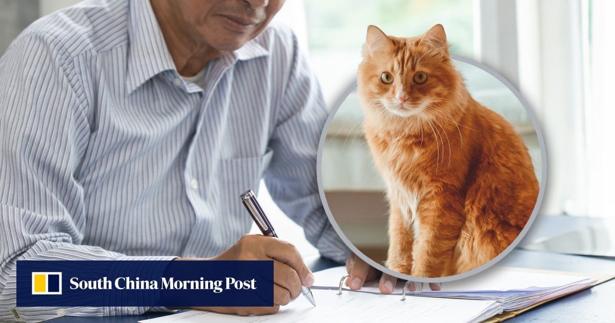 https://cdn.i-scmp.com/sites/default/files/styles/og_image_scmp_generic/public/d8/images/canvas/2025/06/26/8fafca55-9f8f-40fa-9438-7119f3bdebc1_b967bd3d.jpg?itok=SZx0GzP5&v=1750934879