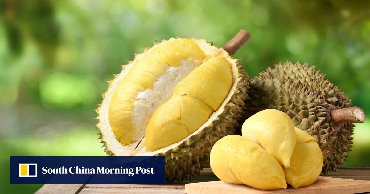 https://cdn.i-scmp.com/sites/default/files/styles/og_image_scmp_generic/public/d8/images/canvas/2025/06/26/bcb07ef7-fb42-4548-ba91-2927b283596d_222aaafe.jpg?itok=AcfsFurB&v=1750928694