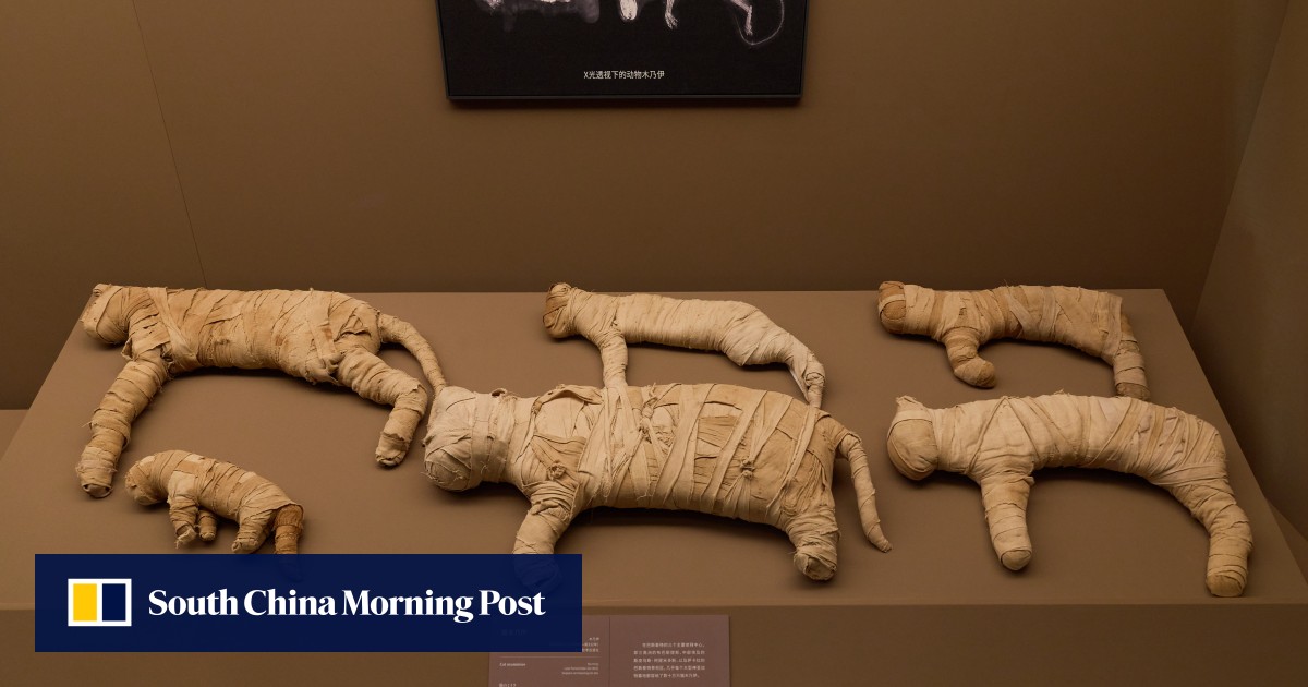 https://cdn.i-scmp.com/sites/default/files/styles/og_image_scmp_generic/public/d8/images/canvas/2025/06/26/e25fda46-0022-4b6d-99dd-49ff955a8860_9b9a3a74.jpg?itok=qkJYB6gJ&v=1750929830