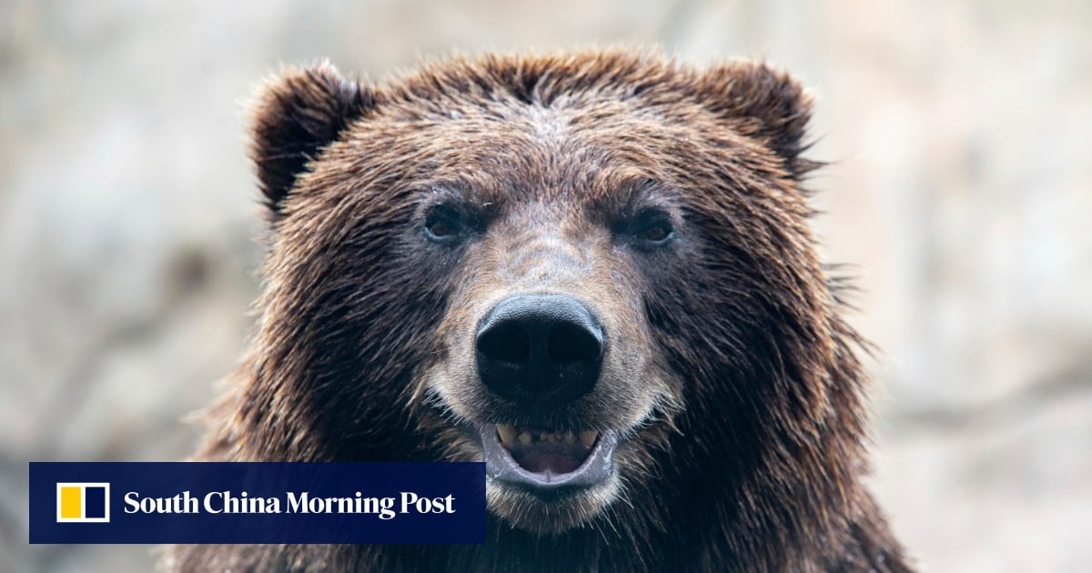 https://cdn.i-scmp.com/sites/default/files/styles/og_image_scmp_generic/public/d8/images/canvas/2025/06/26/f79755d2-2ebe-4bc8-80cf-175a5e08ebf8_0d6998a9.jpg?itok=INodZnZj&v=1750881744