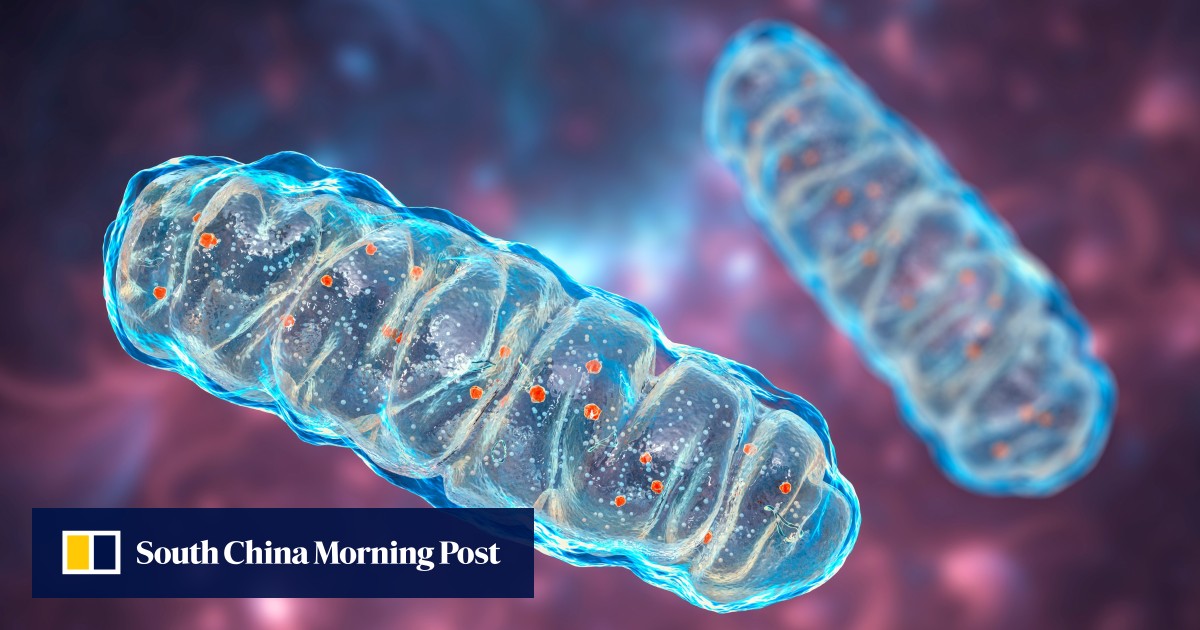 https://cdn.i-scmp.com/sites/default/files/styles/og_image_scmp_generic/public/d8/images/canvas/2025/06/26/fd9170f4-9f76-46b4-9ec1-8cf5d3a2c3bf_c86eded9.jpg?itok=hgSDEuZ5&v=1750926656
