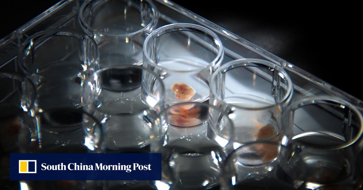 https://cdn.i-scmp.com/sites/default/files/styles/og_image_scmp_generic/public/d8/images/canvas/2025/06/27/2fe5e6ad-b985-426e-b5c7-2bd76f09009c_50e2e7eb.jpg?itok=1qZIASt2&v=1750998456