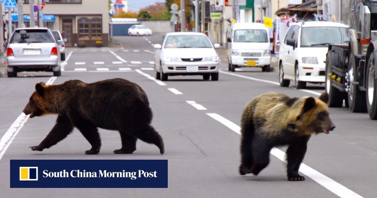 https://cdn.i-scmp.com/sites/default/files/styles/og_image_scmp_generic/public/d8/images/canvas/2025/06/27/5b514c94-9c0b-4cbe-8c94-258d7a4a0ab2_0dcb2f6a.jpg?itok=-Naql9tl&v=1751018261