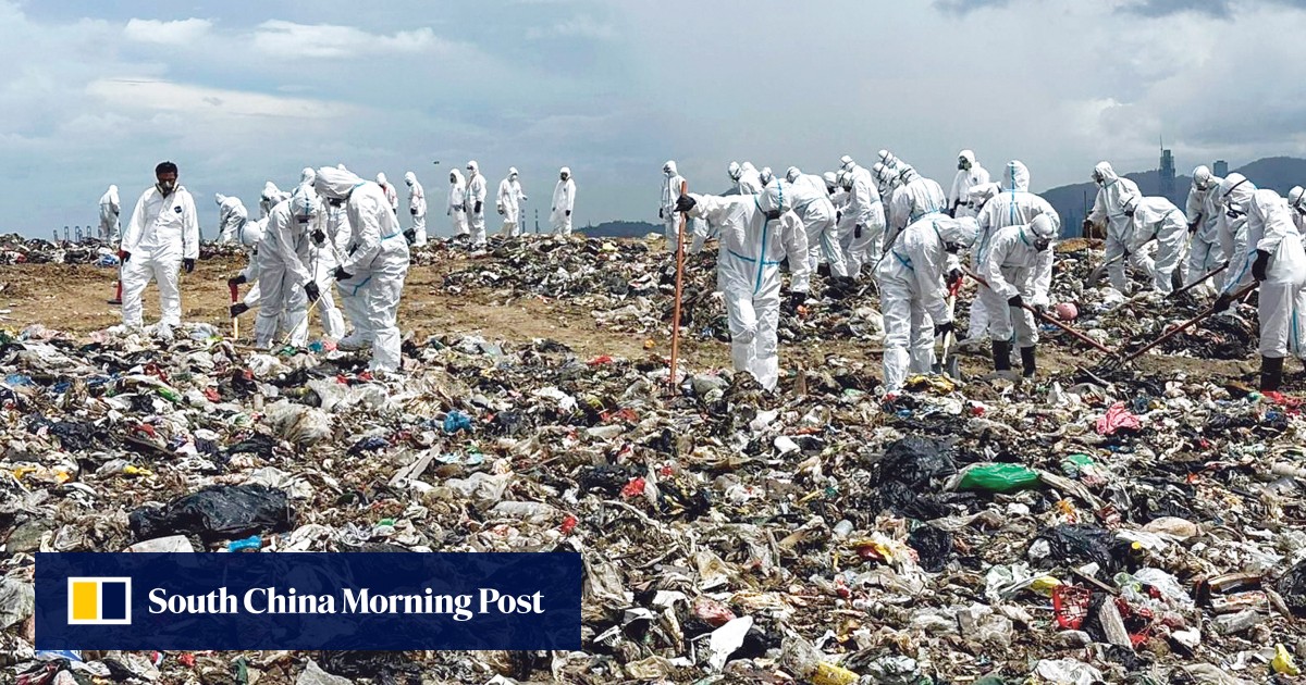 https://cdn.i-scmp.com/sites/default/files/styles/og_image_scmp_generic/public/d8/images/canvas/2025/06/27/728ab210-bfea-4578-9164-278bbda3d787_d7c39565.jpg?itok=CdA8_QOd&v=1750954063