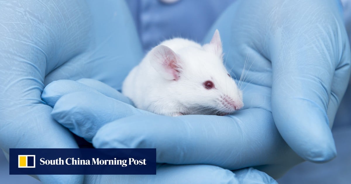 https://cdn.i-scmp.com/sites/default/files/styles/og_image_scmp_generic/public/d8/images/canvas/2025/06/27/ad9796db-b9d4-4a10-b111-bdbfee9cce4d_ecda04e2.jpg?itok=5VMRGCmc&v=1751019347